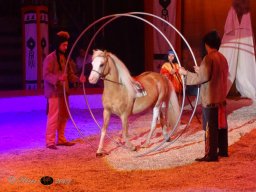  Circus YAKARI am 27.09.2024